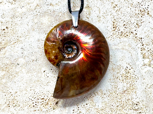 Red Iridescent Ammonite Pendant 4.8cm