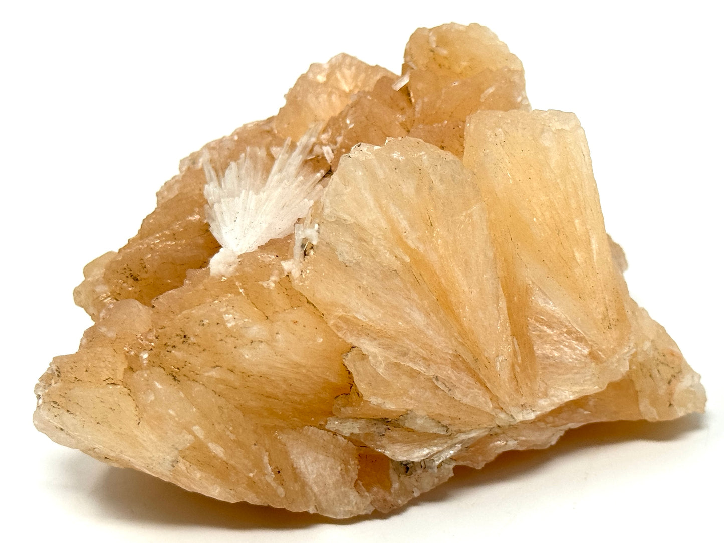Natural Zeolite Crystal Scolecite on Stilbite 10.3cm
