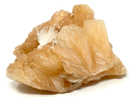 Natural Zeolite Crystal Scolecite on Stilbite 10.3cm
