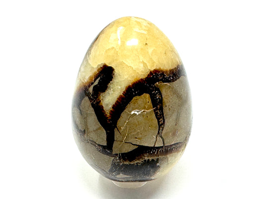 Yellow Septarian Crystal Egg 6.3cm