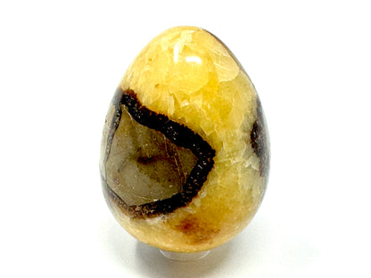 Yellow Septarian Crystal Egg 6.3cm