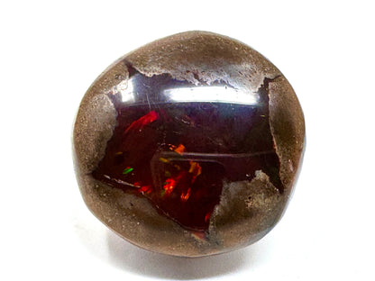 Large ethiopian Shewa Opal: Polished Chocolate Opal Gemstone 10.71 grams