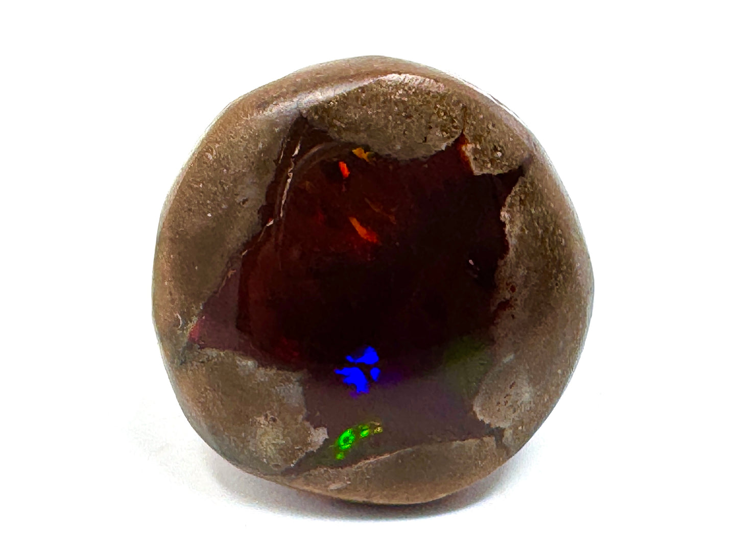 Large ethiopian Shewa Opal: Polished Chocolate Opal Gemstone 10.71 grams