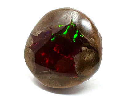 Large ethiopian Shewa Opal: Polished Chocolate Opal Gemstone 10.71 grams
