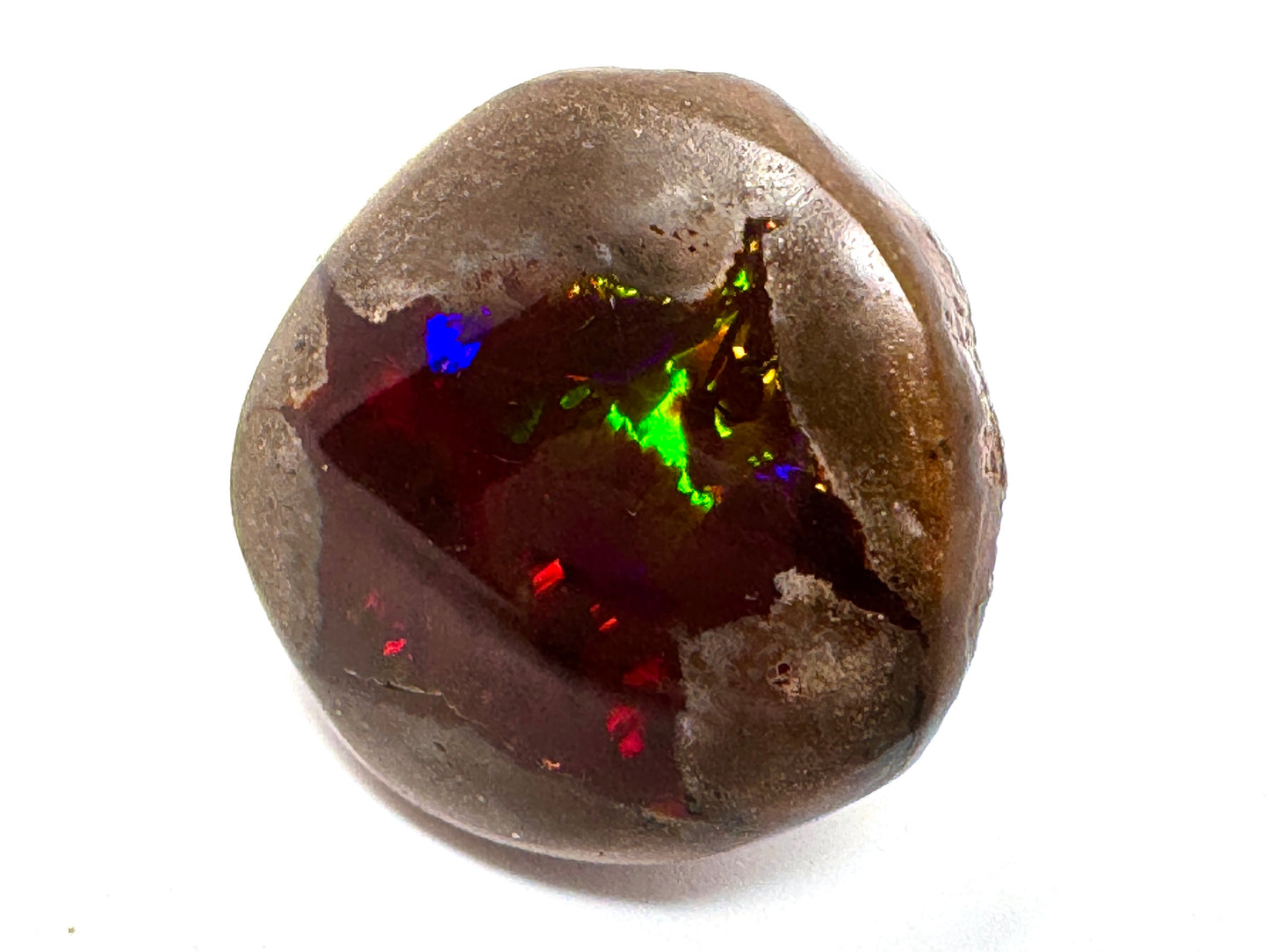 Large ethiopian Shewa Opal: Polished Chocolate Opal Gemstone 10.71 grams