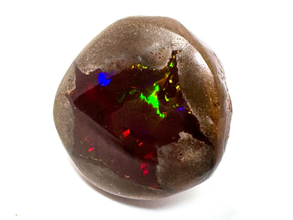 Large ethiopian Shewa Opal: Polished Chocolate Opal Gemstone 10.71 grams