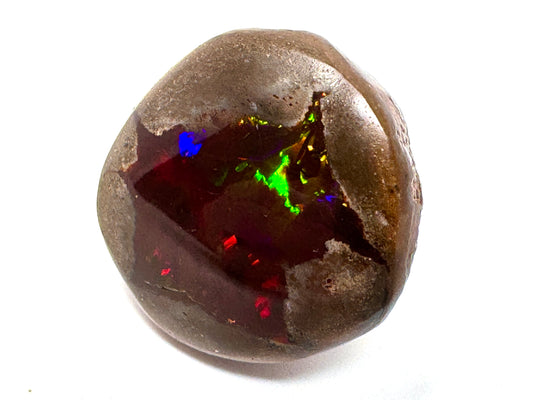 Large ethiopian Shewa Opal: Polished Chocolate Opal Gemstone 10.71 grams
