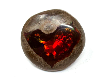 Ethiopian Shewa Opal: Polished Chocolate Opal Gemstone 5.4 grams