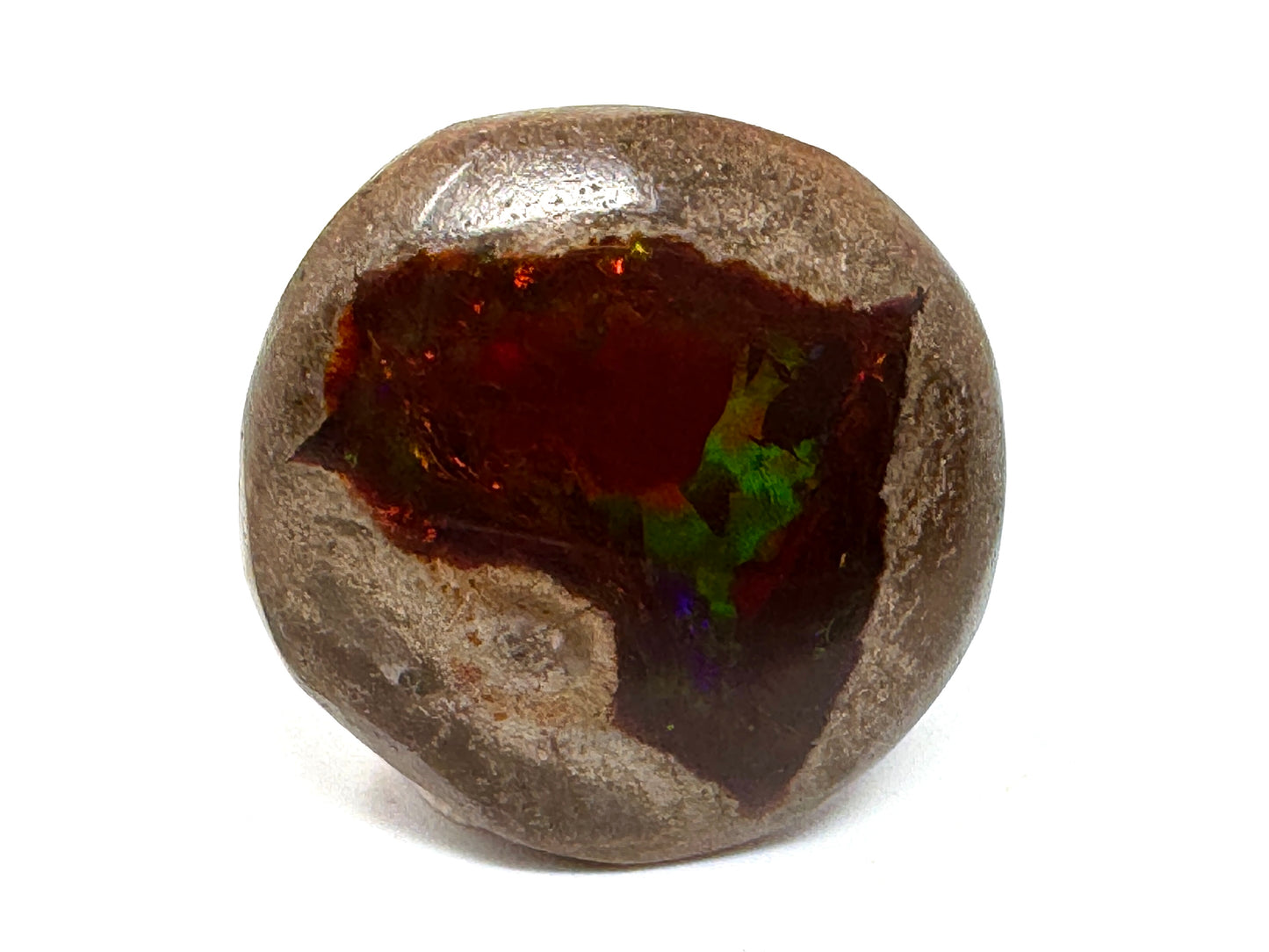 Ethiopian Shewa Opal: Polished Chocolate Opal Gemstone 5.4 grams