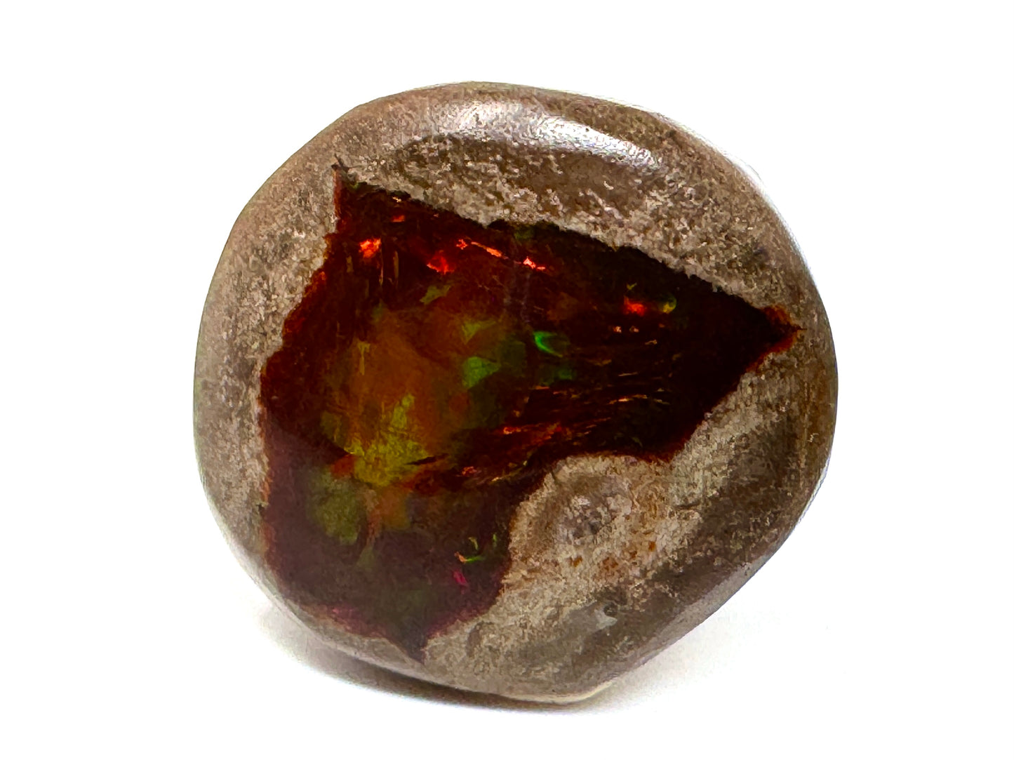 Ethiopian Shewa Opal: Polished Chocolate Opal Gemstone 5.4 grams