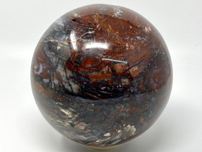 Very Large Fossil Wood Sphere 19.7cm