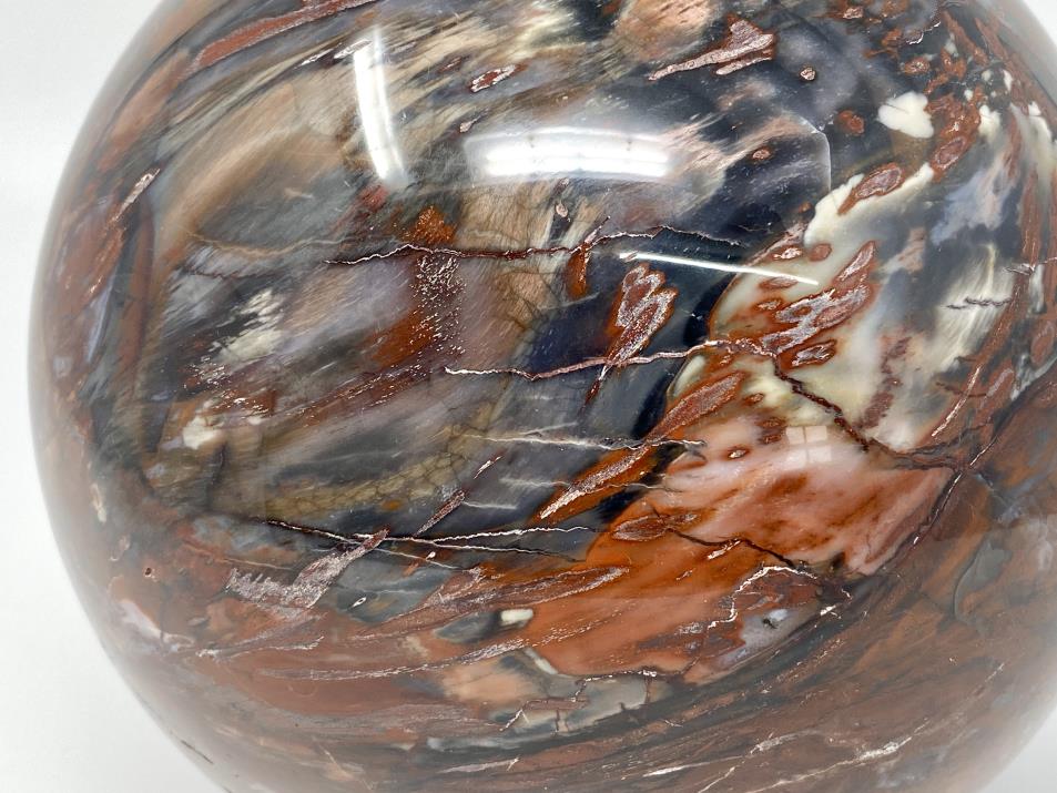 Very Large Fossil Wood Sphere 19.7cm