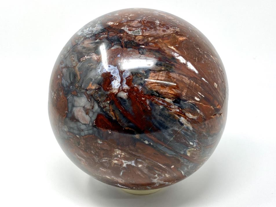 Very Large Fossil Wood Sphere 19.7cm
