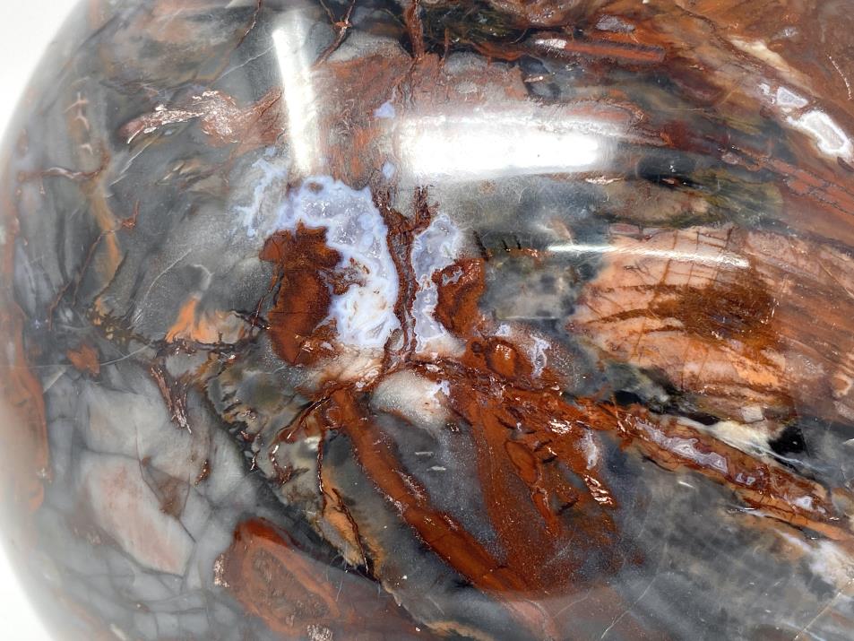 Very Large Fossil Wood Sphere 19.7cm