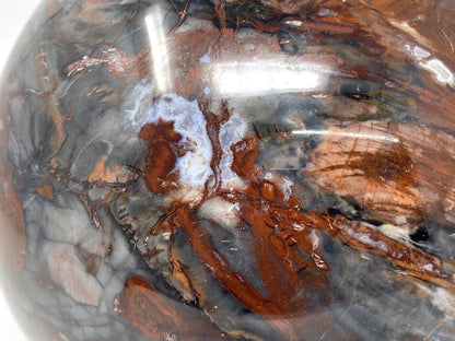 Very Large Fossil Wood Sphere 19.7cm