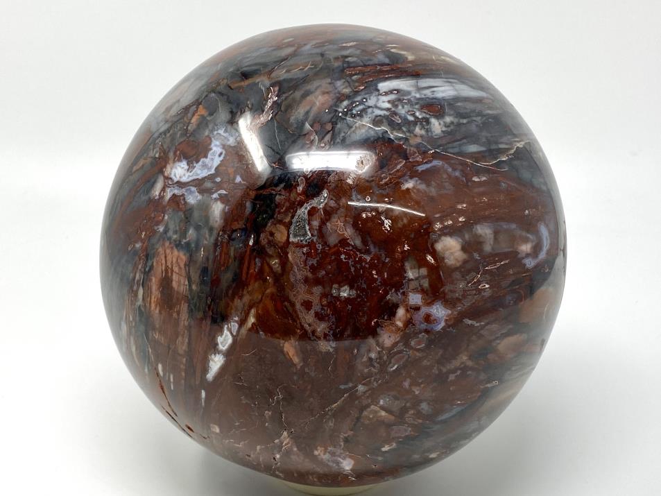 Very Large Fossil Wood Sphere 19.7cm