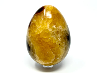 Yellow Septarian Egg Crystal 9.3cm