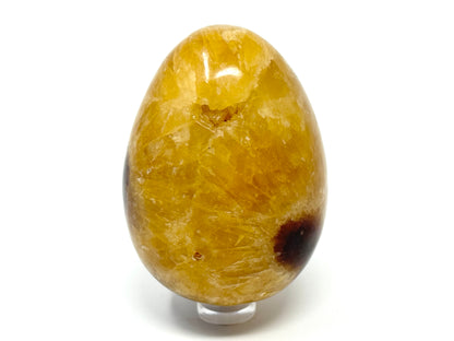 Yellow Septarian Crystal Egg 7.3cm