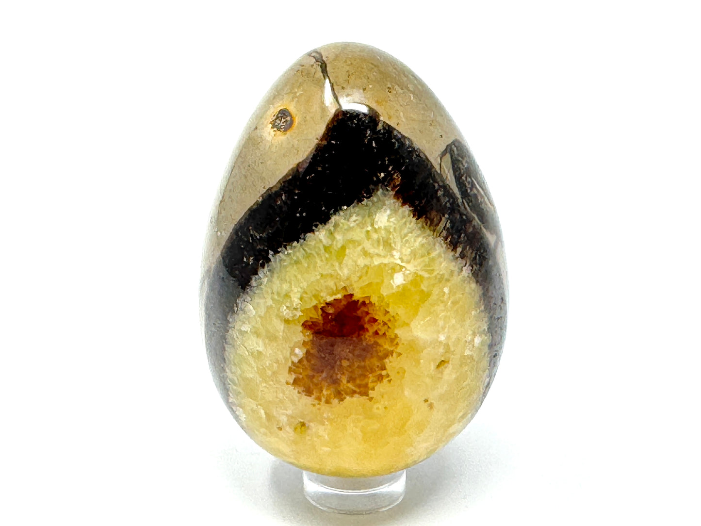 Yellow Septarian Egg Crystal 6.4cm
