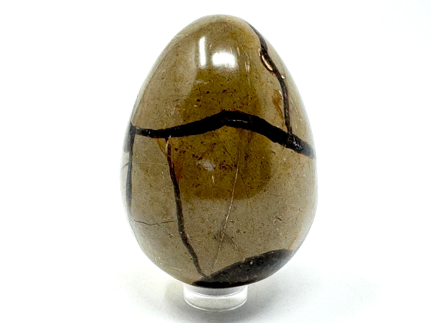 Yellow Septarian Egg Crystal 6.4cm