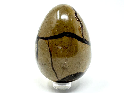 Yellow Septarian Egg Crystal 6.4cm