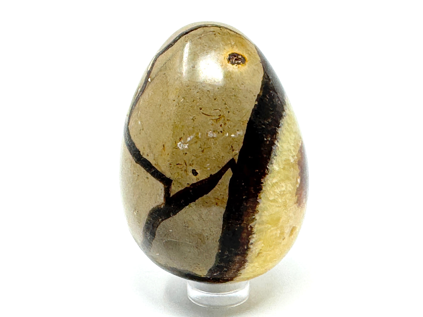 Yellow Septarian Egg Crystal 6.4cm
