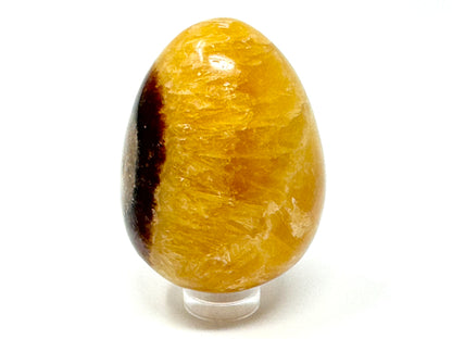 Yellow Septarian Crystal Egg 5.4cm