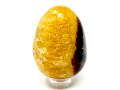Yellow Septarian Crystal Egg 5.4cm