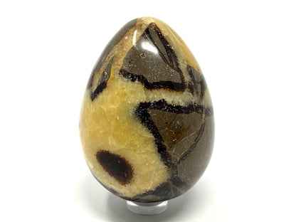 Large Yellow Septarian Egg Crystal 6.9cm