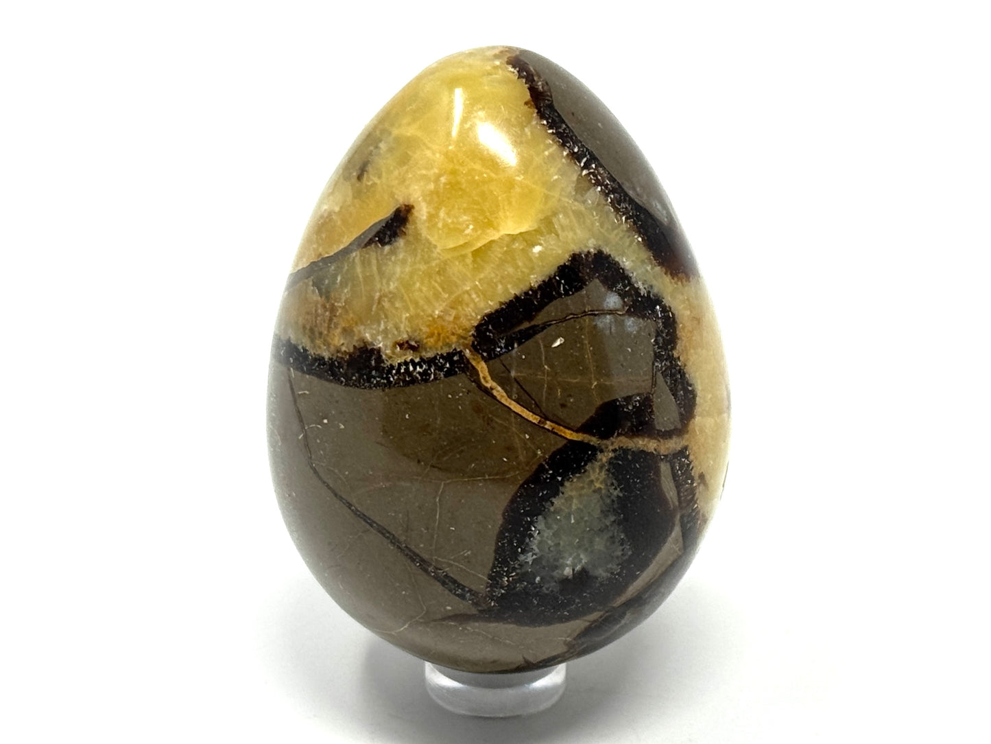 Large Yellow Septarian Egg Crystal 6.9cm