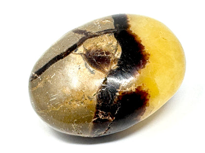 Yellow Septarian Crystal Pebble 5.6cm