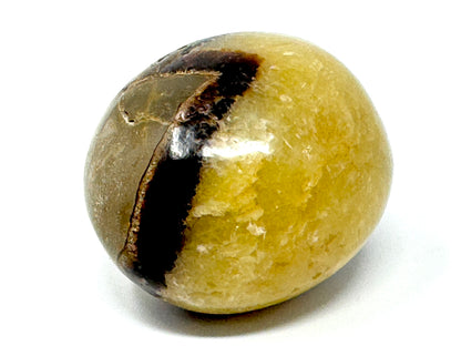 Yellow Septarian Crystal Pebble 5cm