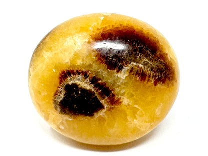 Yellow Septarian Crystal Pebble 5.1cm