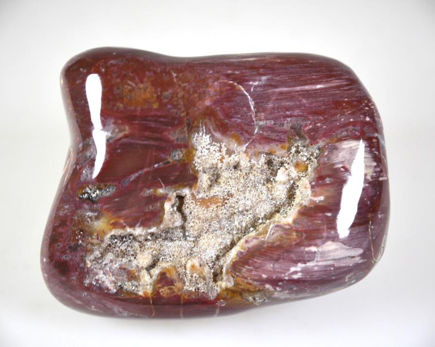 Druzy Fossil Wood Pebble Large 9.6cm | Image 1