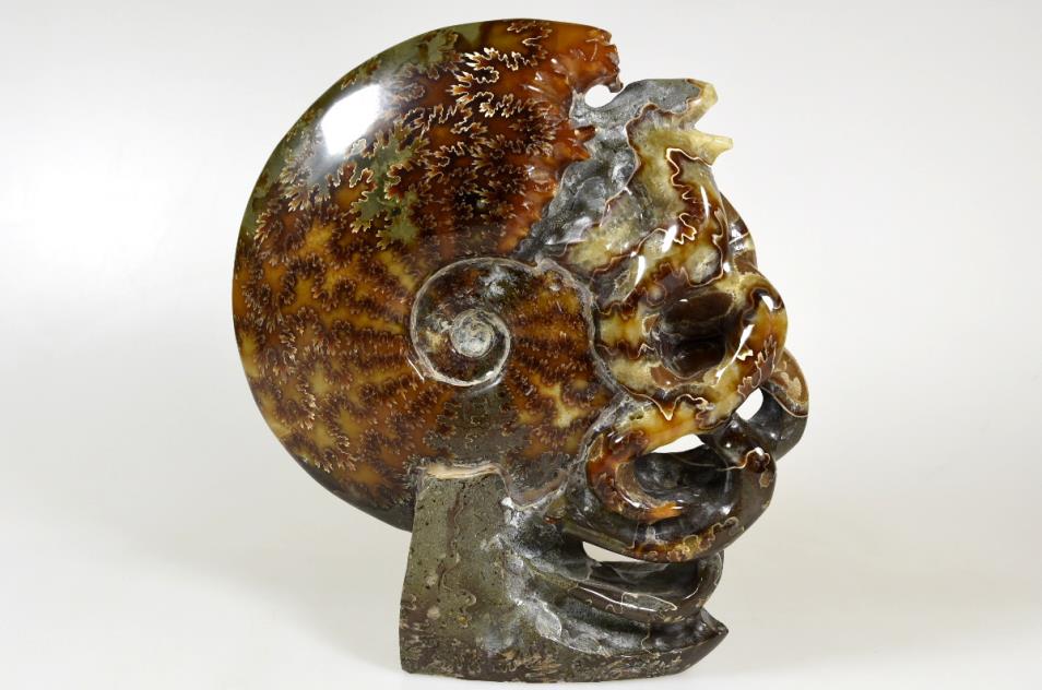 Ammonite Carving 17.5cm | Image 1