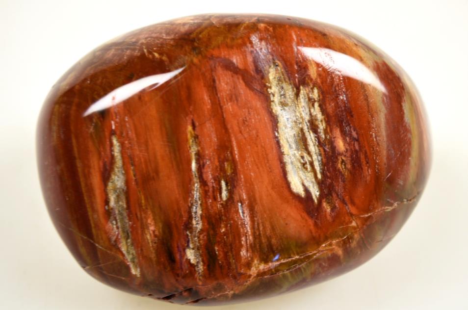 Fossil Wood Pebble Large 7.5cm | Image 1