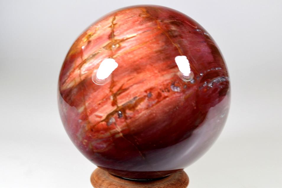 Fossil Wood Sphere 9.5cm | Image 1