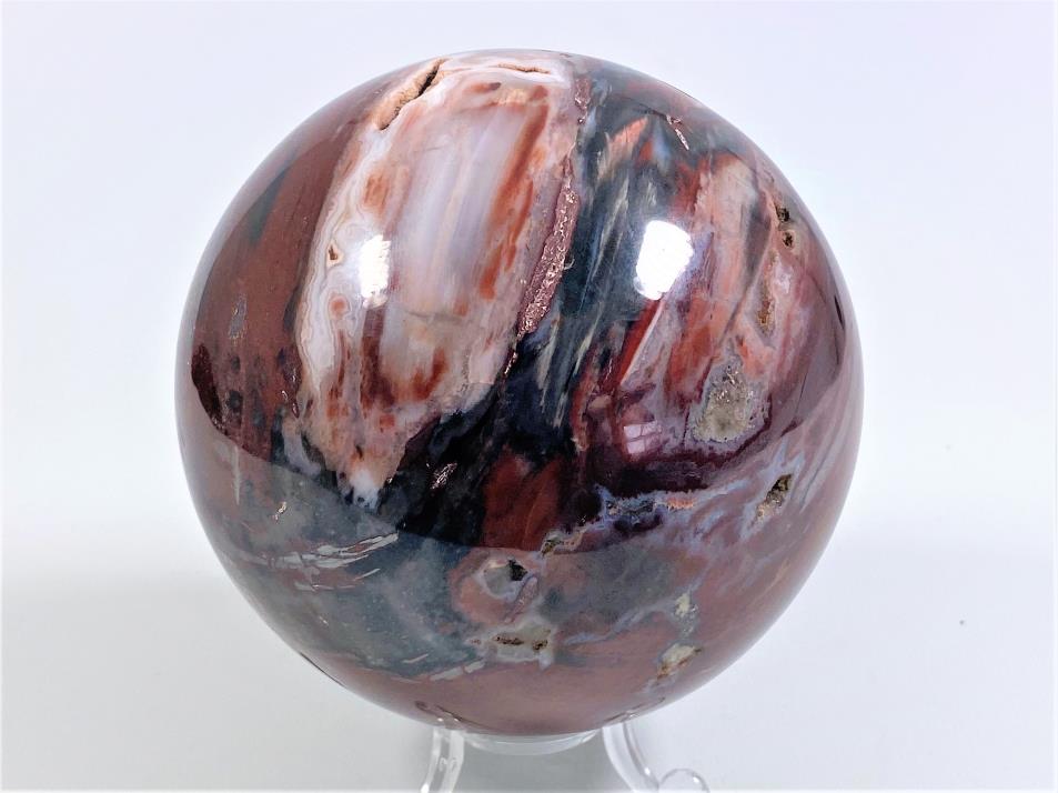 Fossil Wood Sphere 10.5cm | Image 1
