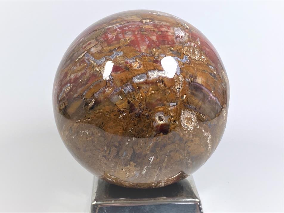 Fossil Wood Sphere Large 13.1cm | Image 1