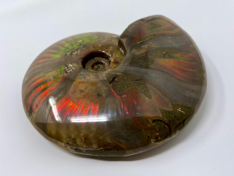 Ammonite Red Iridescent 10.7cm | Image 1