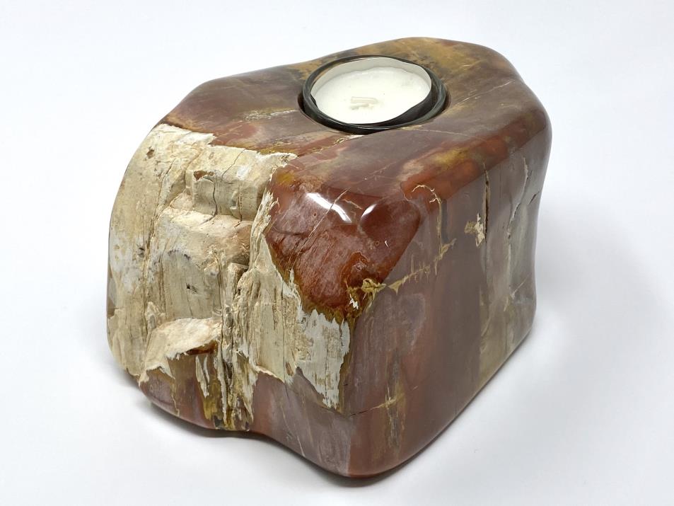 Fossilised Wood Tea Light 17cm | Image 1