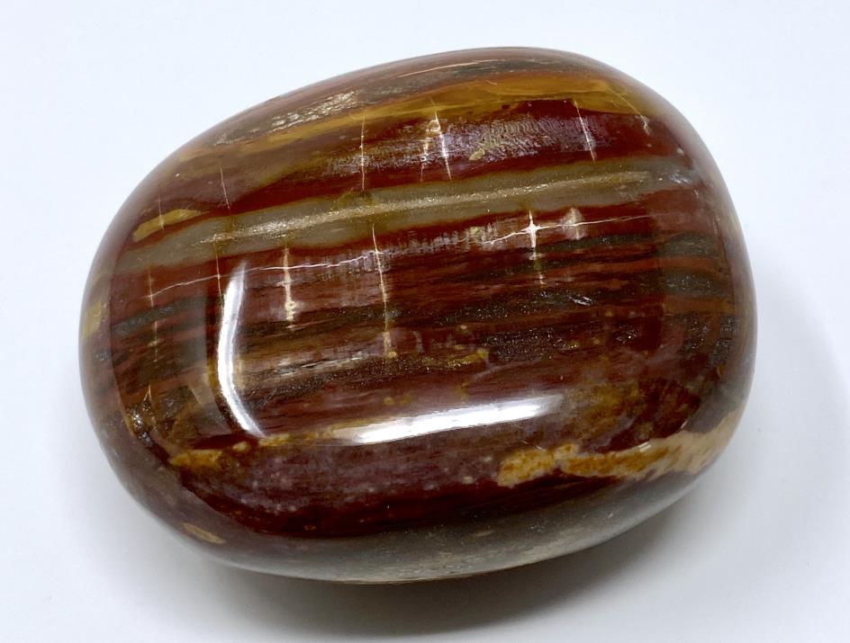 Fossil Wood Pebble 6.7cm | Image 1
