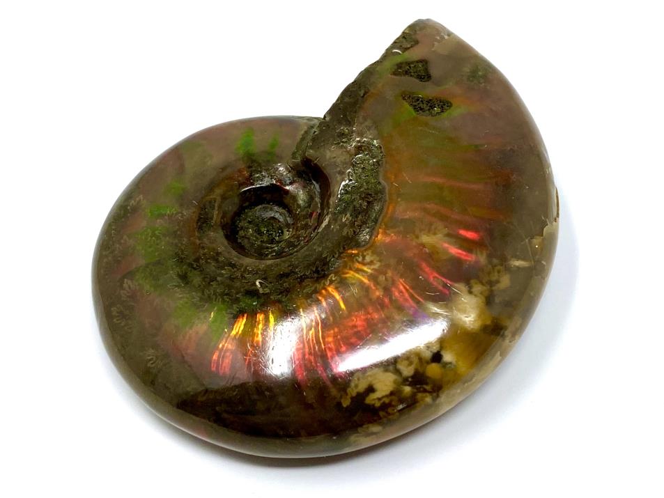 Ammonite Red Iridescent 5.2cm | Image 1