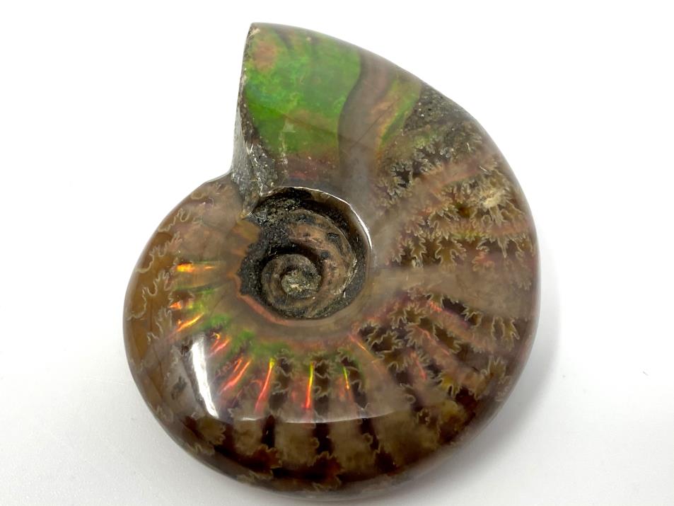 Ammonite Red Iridescent 4.7cm | Image 1
