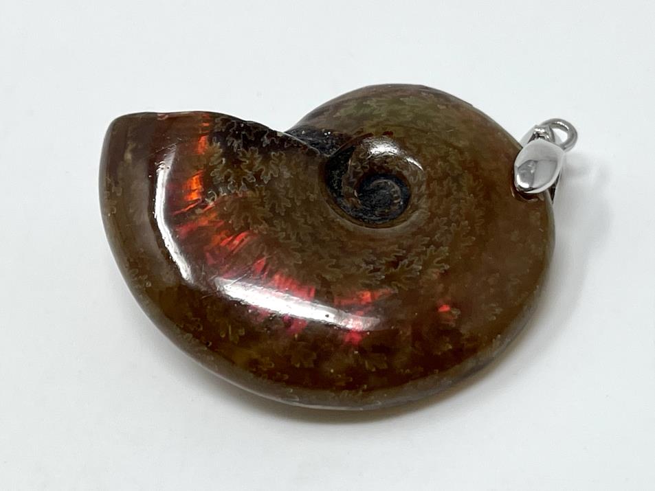 Ammonite Red Iridescent Pendant 3.2cm | Image 1