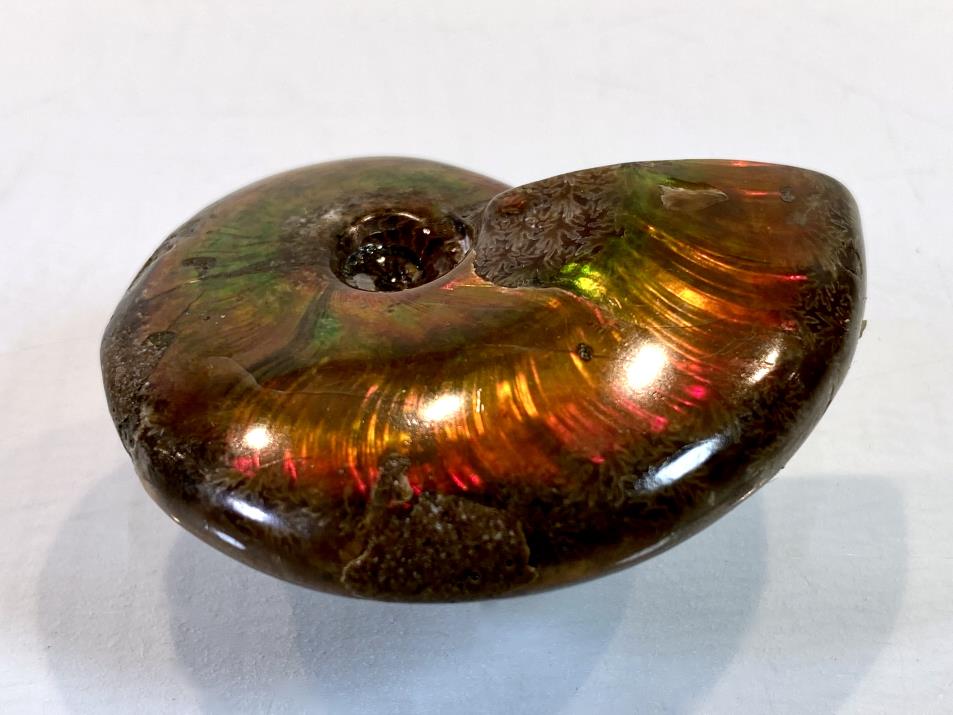Ammonite Red Iridescent 4.4cm | Image 1