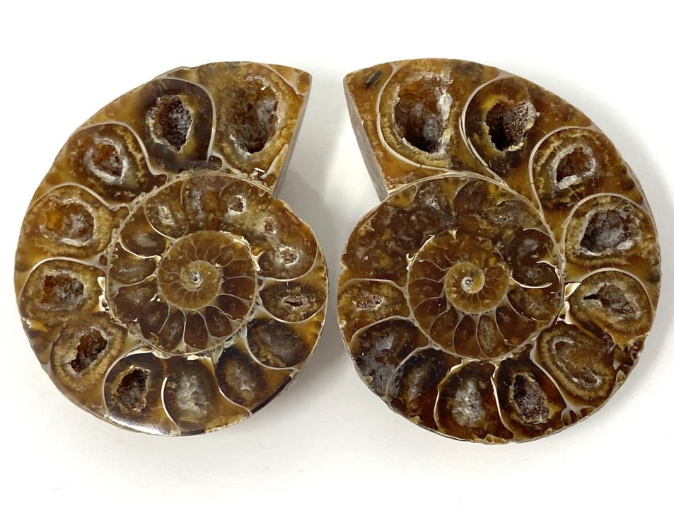 Druzy Ammonite Pair 5.5cm | Image 1