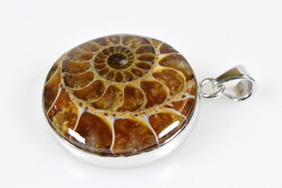 Ammonite round Pendant 7.9grams | Image 1