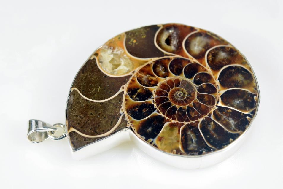 Large Ammonite Pendant 39grams | Image 1