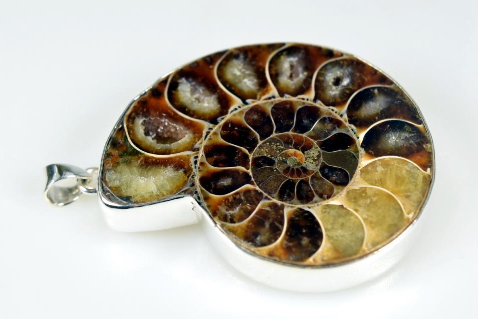 Large Ammonite Pendant 38grams | Image 1